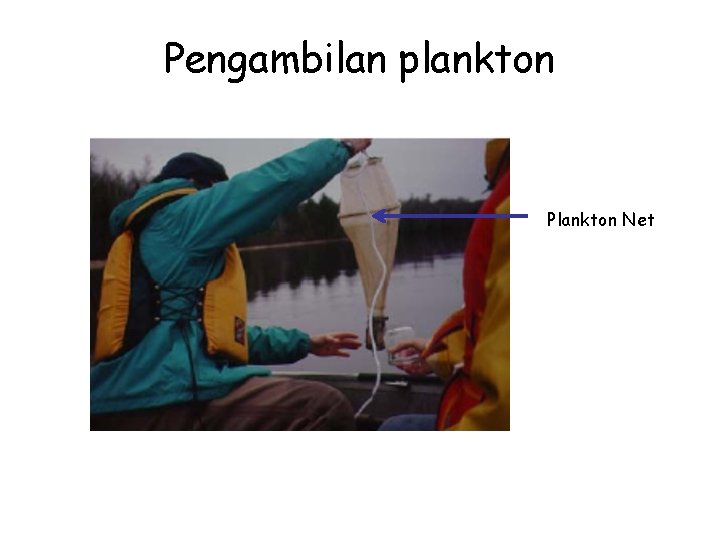 Pengambilan plankton Plankton Net 