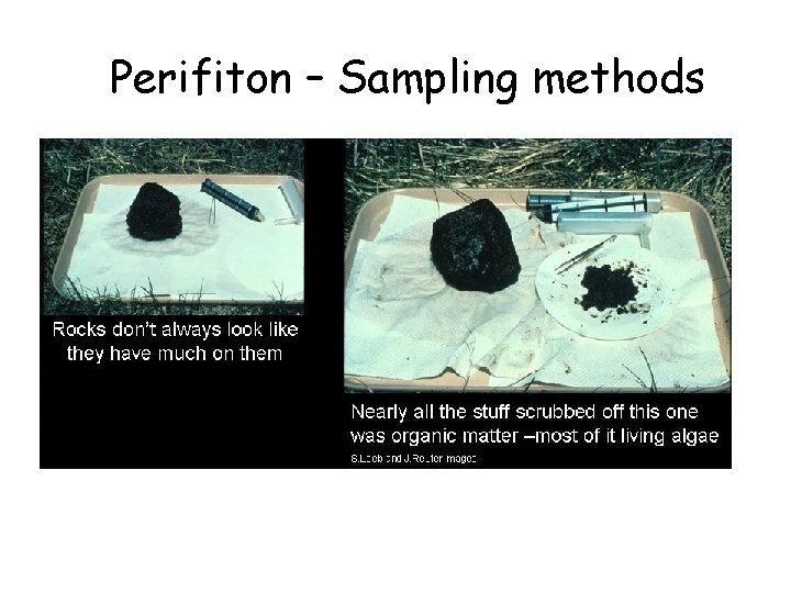 Perifiton – Sampling methods 