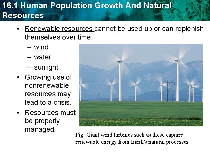 16. 1 Human Population Growth And Natural Resources • Renewable resources cannot be used