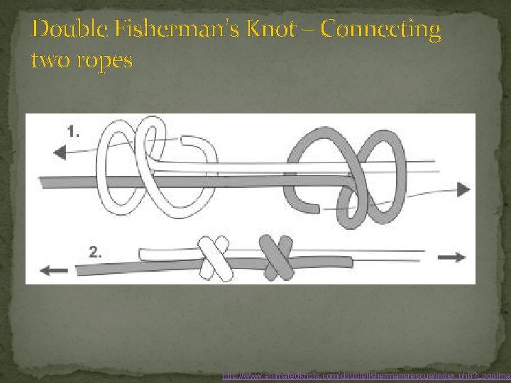 Double Fisherman’s Knot – Connecting two ropes http: //www. animatedknots. com/doublefishermansrescue/index. php? Logo. Imag