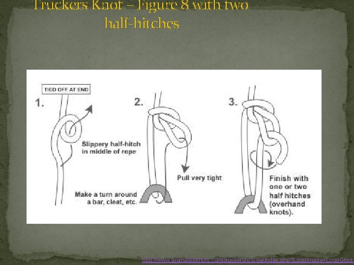 Truckers Knot – Figure 8 with two half-hitches http: //www. animatedknots. com/truckersrescue/index. php? Logo.