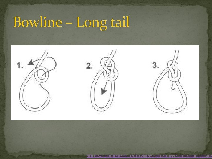 Bowline – Long tail http: //www. animatedknots. com/bowlinerescue/index. php? Logo. Image=Logo. Grog 
