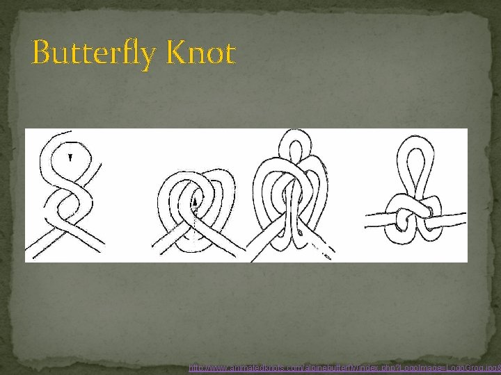 Butterfly Knot http: //www. animatedknots. com/alpinebutterfly/index. php? Logo. Image=Logo. Grog. jpg& 