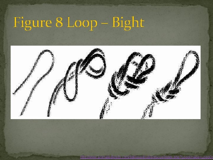 Figure 8 Loop – Bight http: //www. animatedknots. com/fig 8 loopdoublerescue/index. php? Logo. Image=Logo.