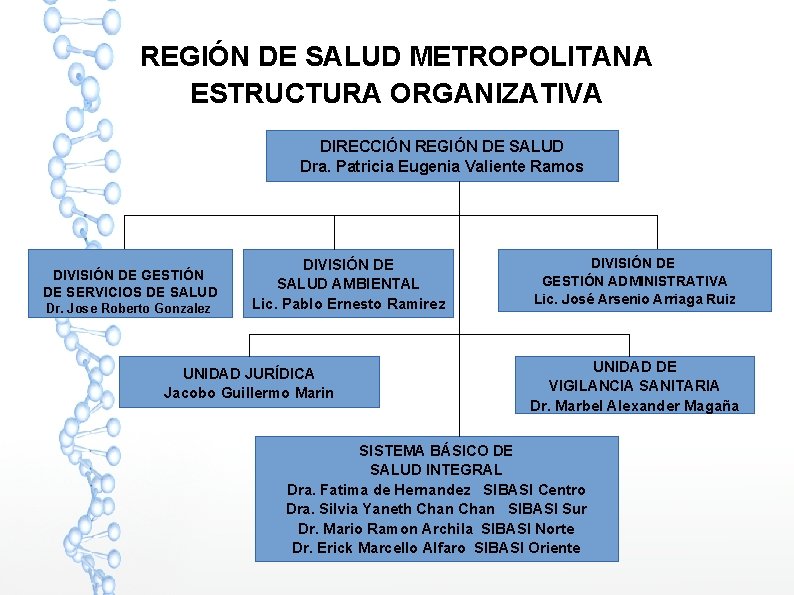 REGIÓN DE SALUD METROPOLITANA ESTRUCTURA ORGANIZATIVA DIRECCIÓN REGIÓN DE SALUD Dra. Patricia Eugenia Valiente