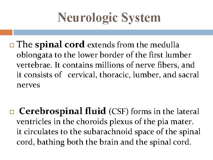 Neurologic System The spinal cord extends from the medulla oblongata to the lower border