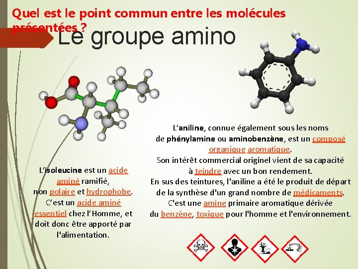 Quel est le point commun entre les molécules présentées ? Le groupe amino L’isoleucine