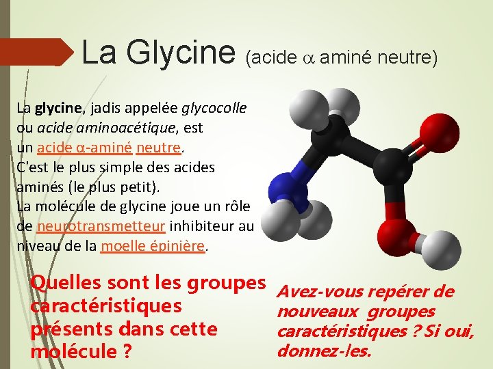 La Glycine (acide aminé neutre) La glycine, jadis appelée glycocolle ou acide aminoacétique, est