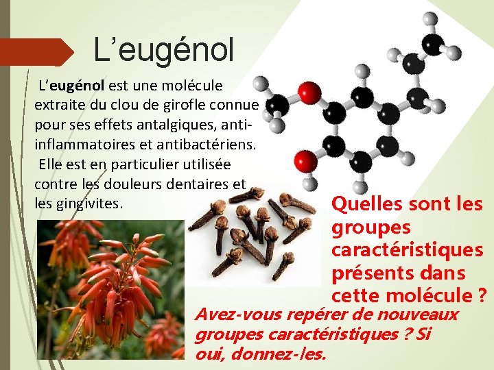 L’eugénol est une molécule extraite du clou de girofle connue pour ses effets antalgiques,