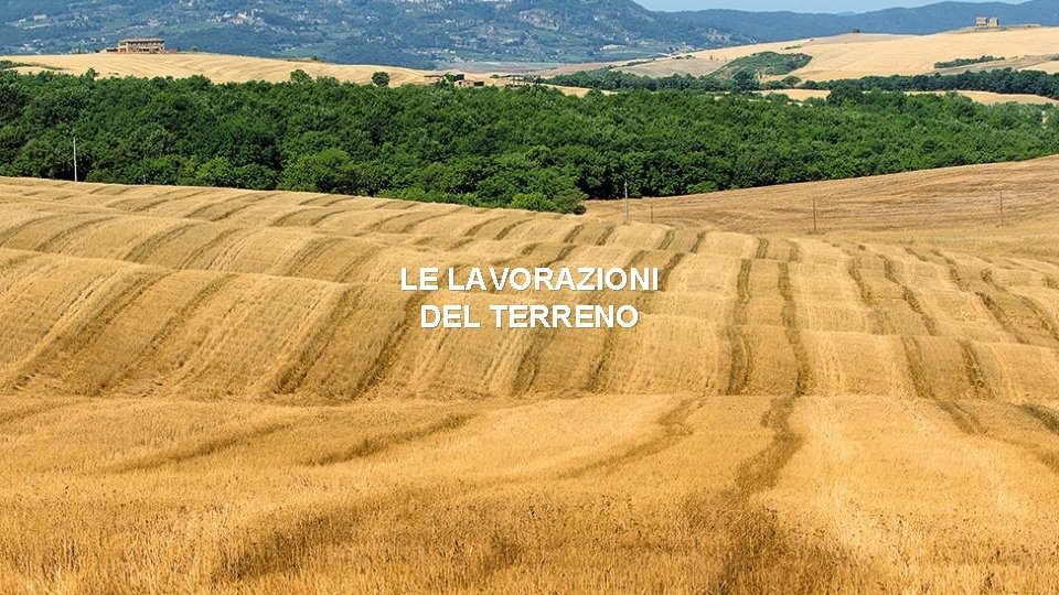 LE LAVORAZIONI DEL TERRENO 