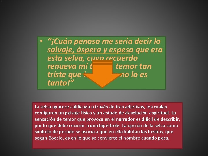  • “¡Cuán penoso me sería decir lo salvaje, áspera y espesa que era