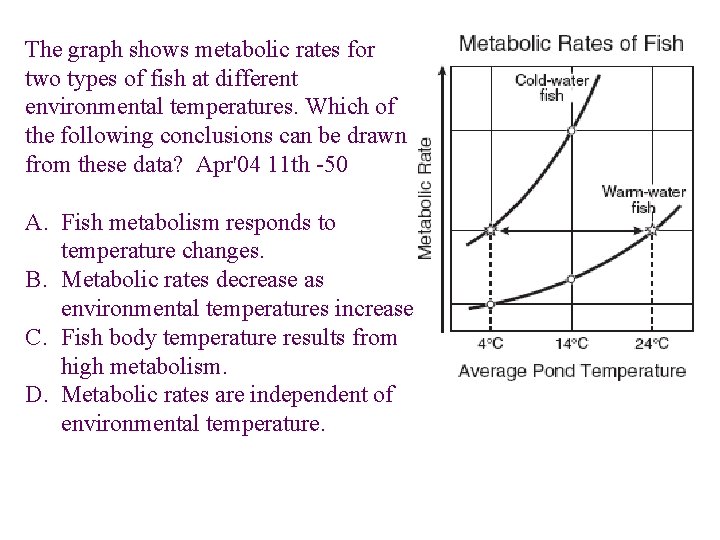 The graph shows metabolic rates for two types of fish at different environmental temperatures.