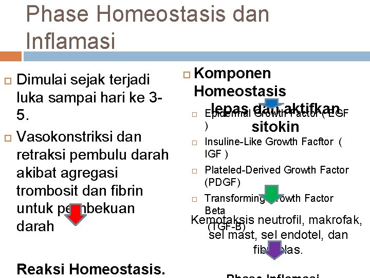 Phase Homeostasis dan Inflamasi Dimulai sejak terjadi luka sampai hari ke 35. Vasokonstriksi dan