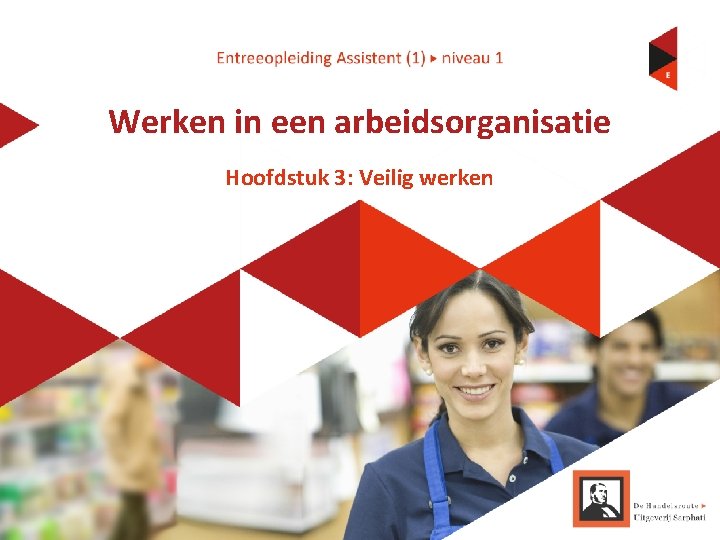 Werken in een arbeidsorganisatie Hoofdstuk 3: Veilig werken 