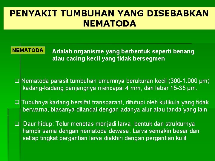 PENYAKIT TUMBUHAN YANG DISEBABKAN NEMATODA Adalah organisme yang berbentuk seperti benang atau cacing kecil