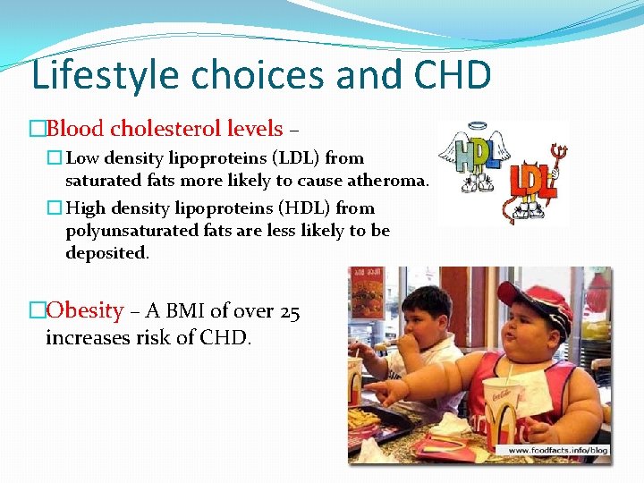Lifestyle choices and CHD �Blood cholesterol levels – � Low density lipoproteins (LDL) from