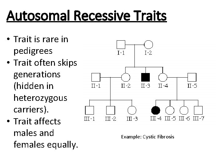 Autosomal Recessive Traits • Trait is rare in pedigrees • Trait often skips generations