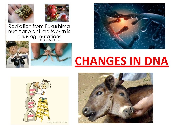 CHANGES IN DNA 