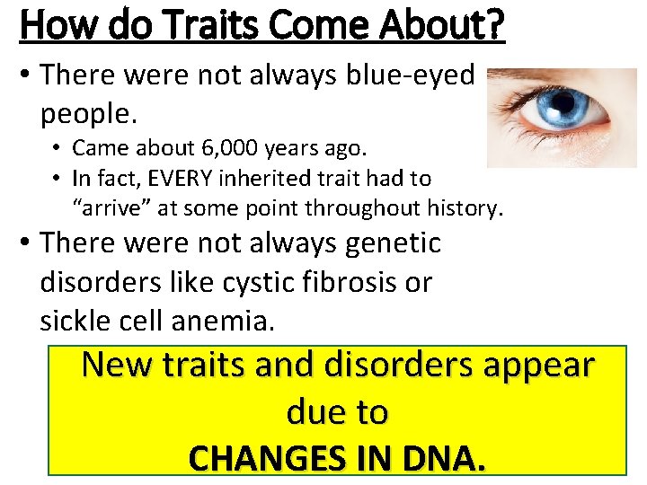 How do Traits Come About? • There were not always blue-eyed people. • Came