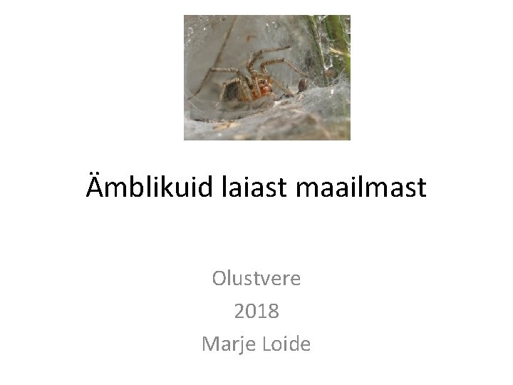 Ämblikuid laiast maailmast Olustvere 2018 Marje Loide 