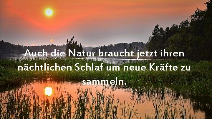 Auch die Natur braucht jetzt ihren nächtlichen Schlaf um neue Kräfte zu sammeln. 