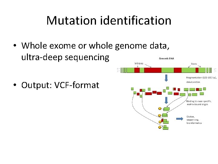 Mutation identification • Whole exome or whole genome data, ultra-deep sequencing • Output: VCF-format
