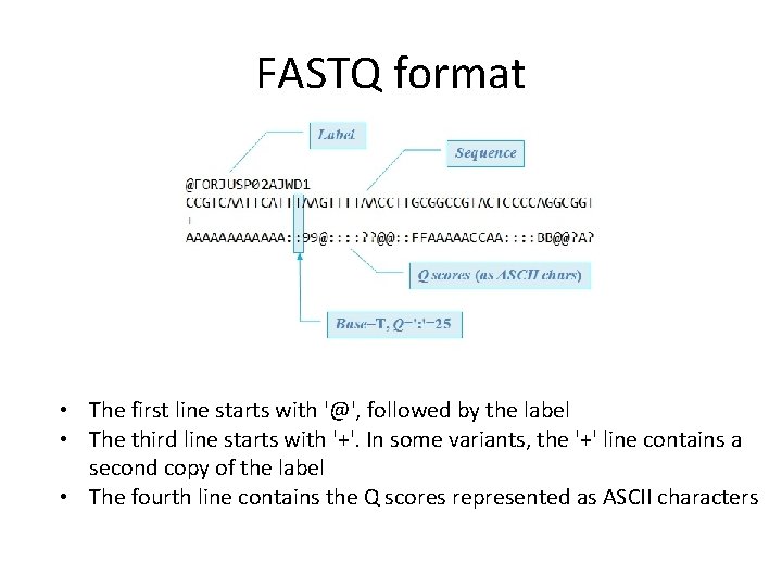 FASTQ format • The first line starts with '@', followed by the label •