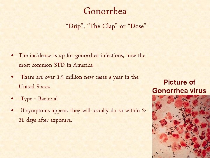 Gonorrhea “Drip”, “The Clap” or “Dose” • The incidence is up for gonorrhea infections,