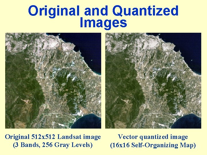 Original and Quantized Images Original 512 x 512 Landsat image (3 Bands, 256 Gray