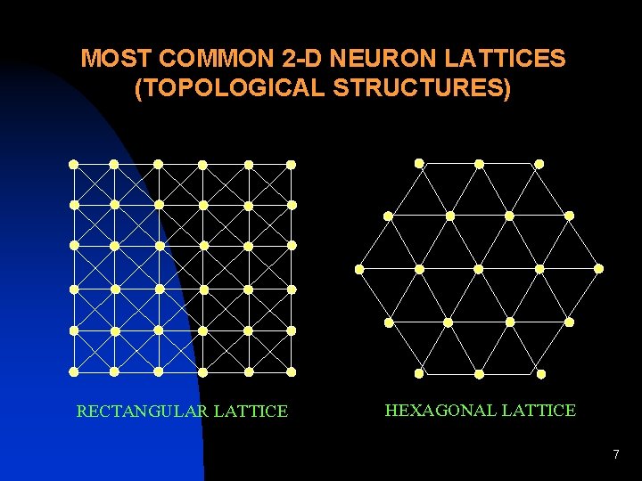 MOST COMMON 2 -D NEURON LATTICES (TOPOLOGICAL STRUCTURES) RECTANGULAR LATTICE HEXAGONAL LATTICE 7 