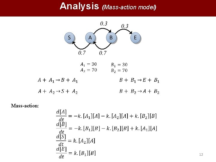 Analysis (Mass-action model) Mass-action: 12 