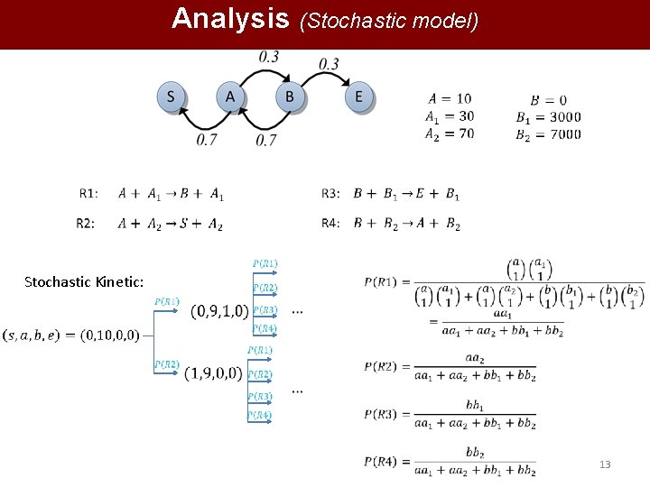 Analysis (Stochastic model) Stochastic Kinetic: 13 