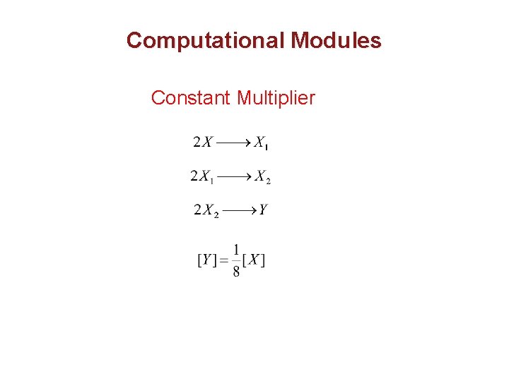 Computational Modules Constant Multiplier 