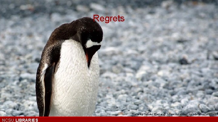 Regrets Photo by Teodor Bjerrang. https: //unsplash. com/photos/-o. GSMD 7 D NCSU LIBRARIES 