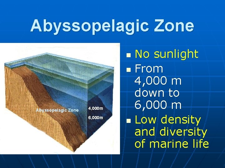 Abyssopelagic Zone No sunlight n From 4, 000 m down to 6, 000 m