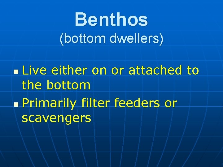 Benthos (bottom dwellers) Live either on or attached to the bottom n Primarily filter