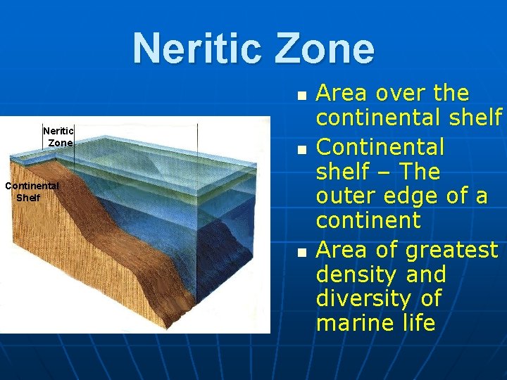 Neritic Zone n Continental Shelf n Area over the continental shelf Continental shelf –