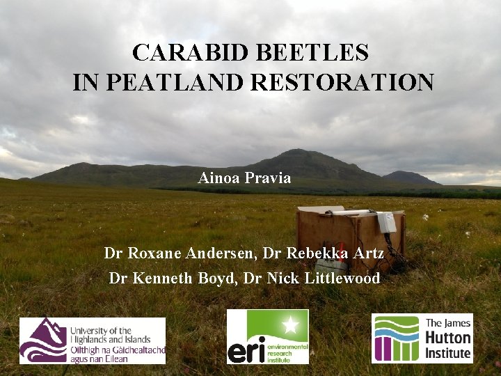 CARABID BEETLES IN PEATLAND RESTORATION Ainoa Pravia Dr Roxane Andersen, Dr Rebekka Artz Dr