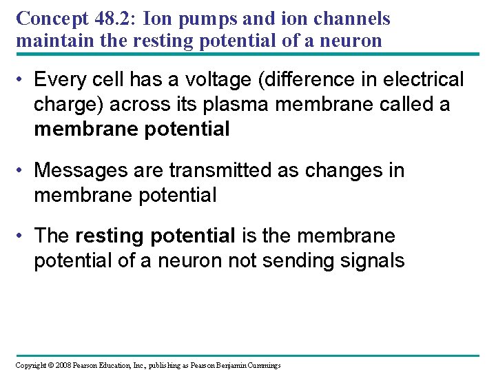 Concept 48. 2: Ion pumps and ion channels maintain the resting potential of a