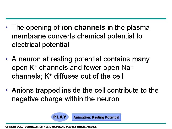  • The opening of ion channels in the plasma membrane converts chemical potential