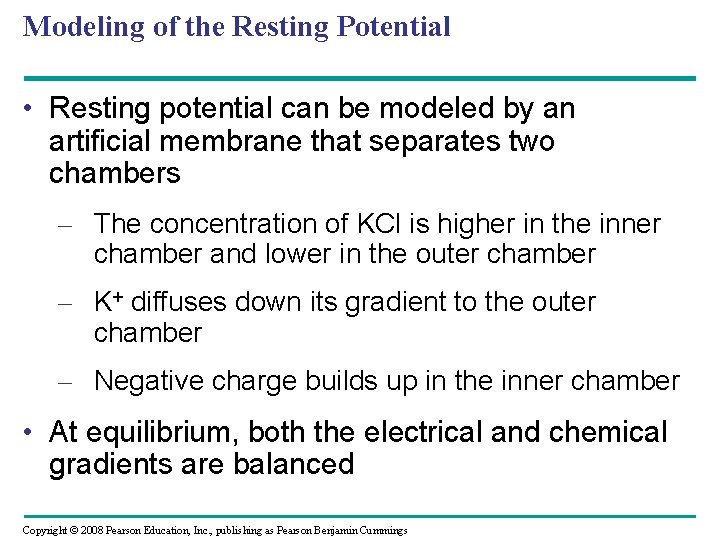 Modeling of the Resting Potential • Resting potential can be modeled by an artificial