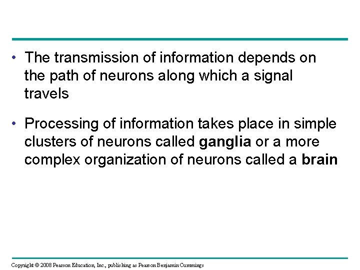  • The transmission of information depends on the path of neurons along which