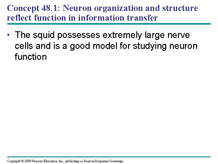 Concept 48. 1: Neuron organization and structure reflect function in information transfer • The