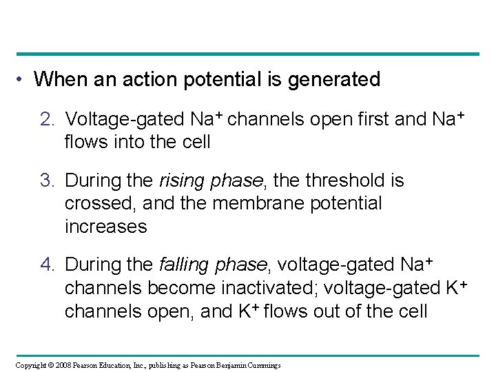  • When an action potential is generated 2. Voltage-gated Na+ channels open first