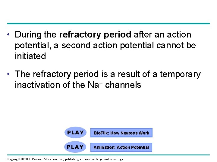  • During the refractory period after an action potential, a second action potential