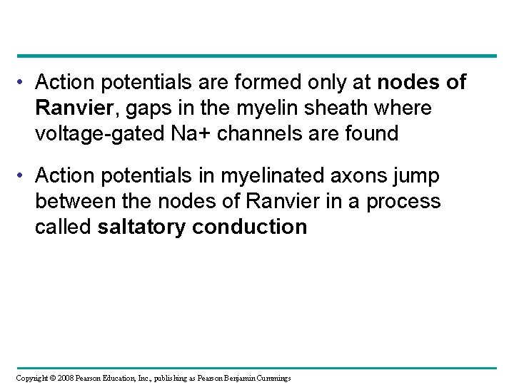  • Action potentials are formed only at nodes of Ranvier, gaps in the