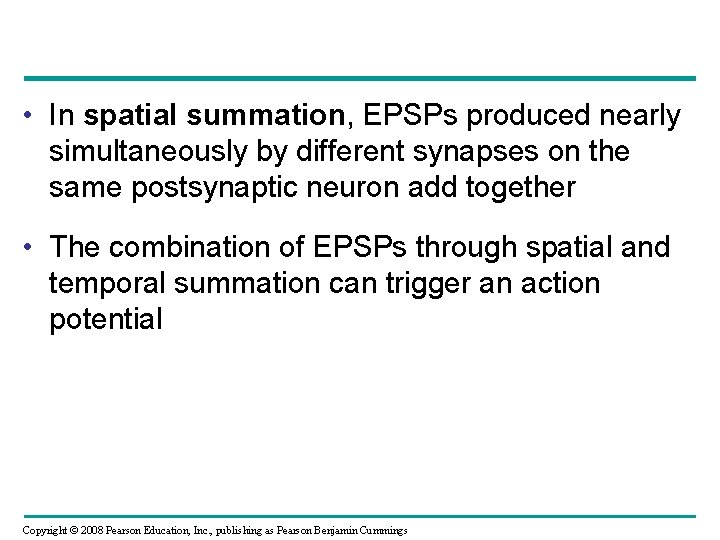  • In spatial summation, EPSPs produced nearly simultaneously by different synapses on the