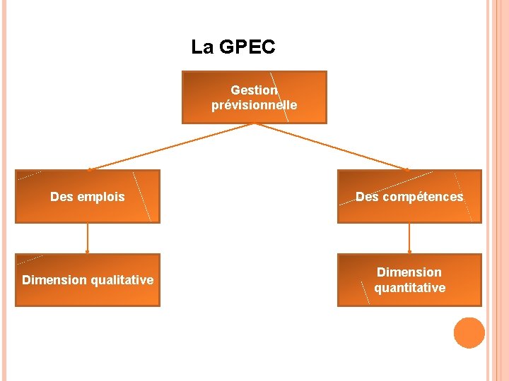 La GPEC Gestion prévisionnelle Des emplois Des compétences Dimension qualitative Dimension quantitative 