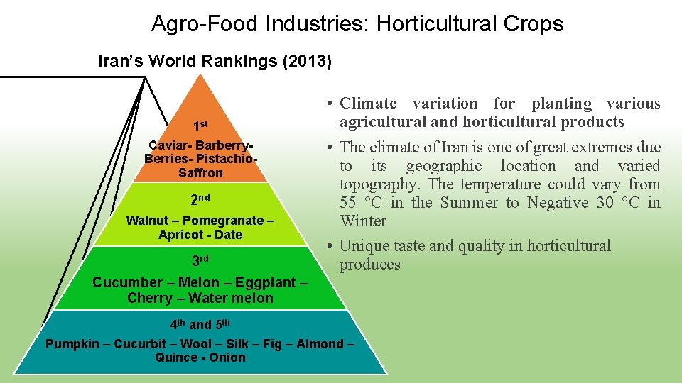 Agro-Food Industries: Horticultural Crops Iran’s World Rankings (2013) 1 st Caviar- Barberry. Berries- Pistachio. Agro-Food Industries: Horticultural Crops Iran’s World Rankings (2013) 1 st Caviar- Barberry. Berries- Pistachio.