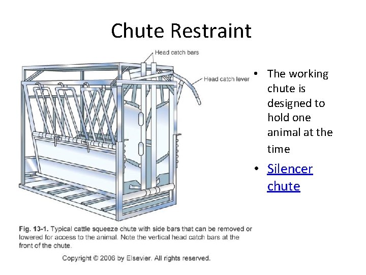 Chute Restraint • The working chute is designed to hold one animal at the Chute Restraint • The working chute is designed to hold one animal at the